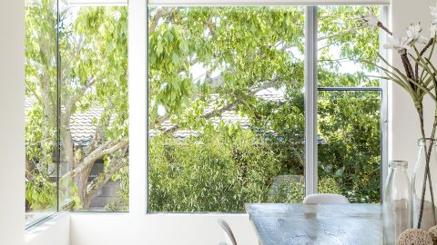 Boutique Aluminium Sashless Windows